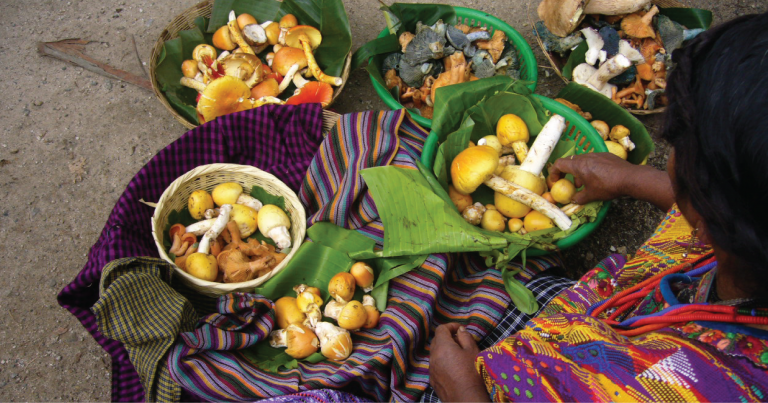 guatemala-food