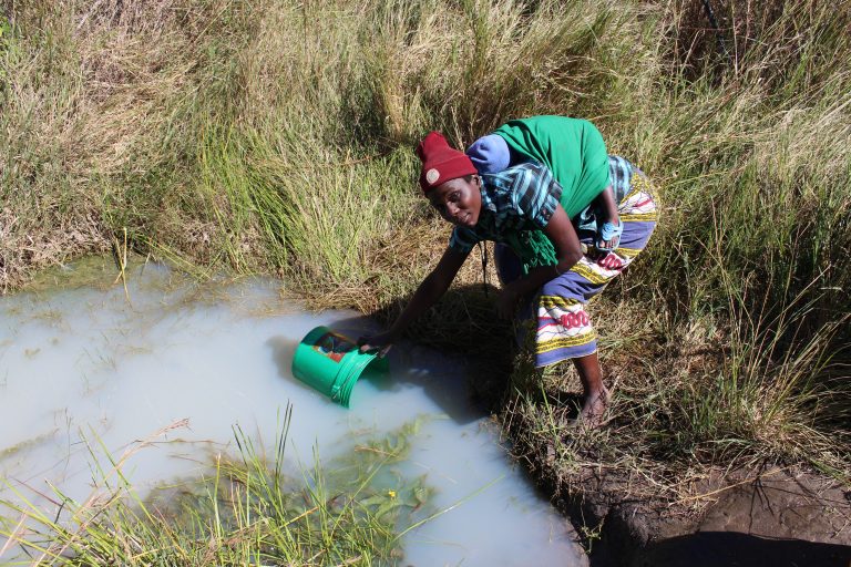 Woman gathering water