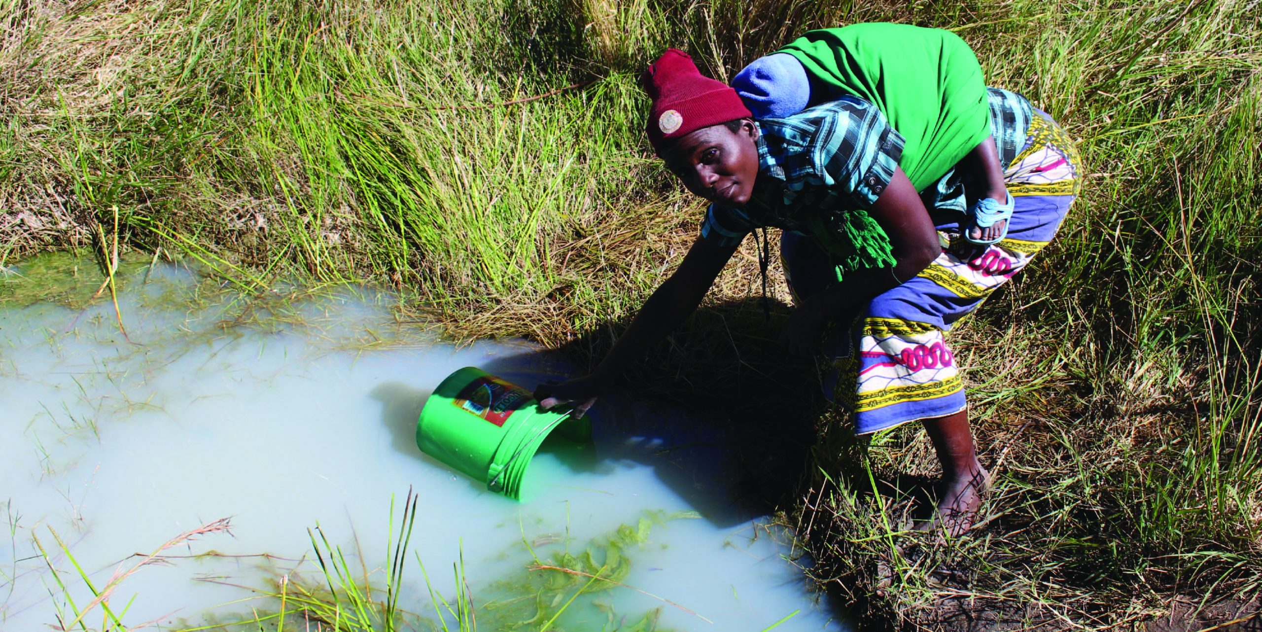 A woman carrying a baby on her back collects unsafe water