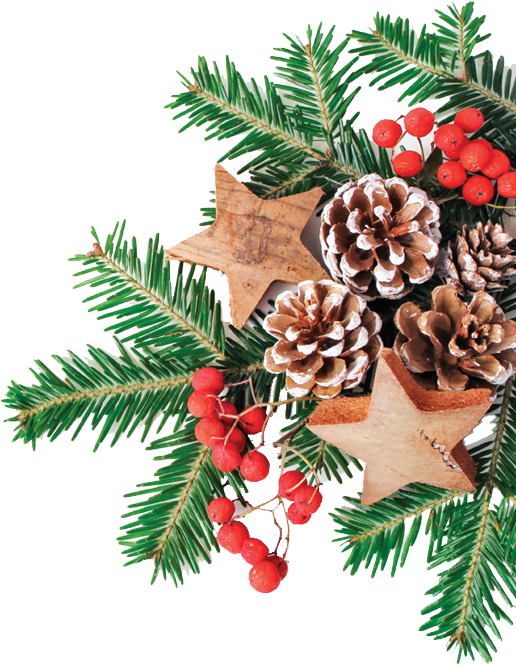 Christmas ornaments and decorations