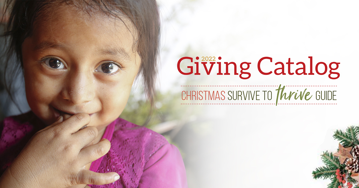Christmas Survive to Thrive Guide Christmas 2022