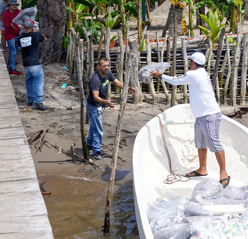 Staff unloading packages of food from the boat to distribute among the island residents.