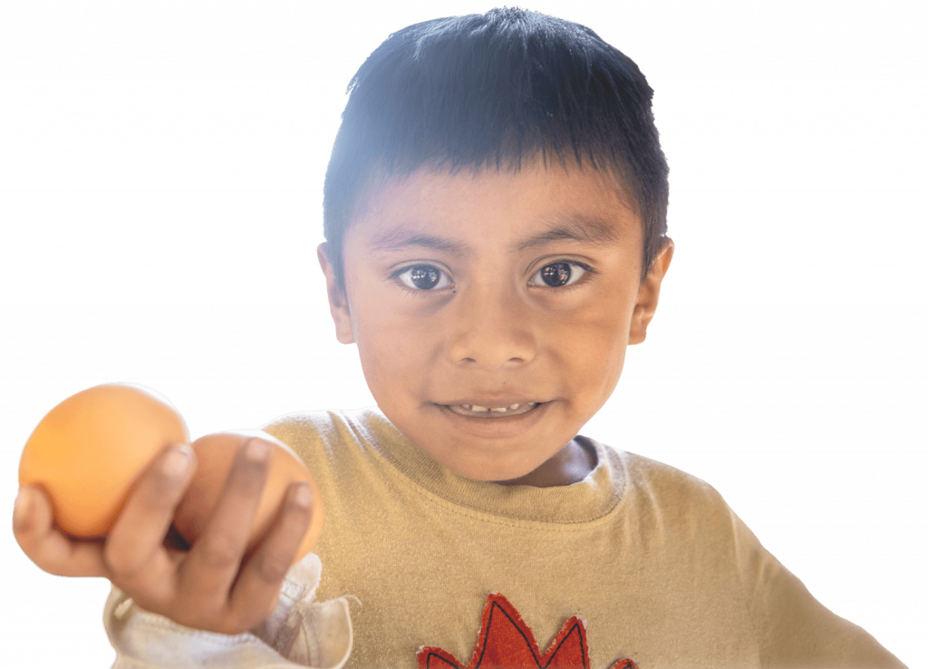 Guatemalan boy smiling to the camera and showing proudly the eggs produced in his family's chicken coop.