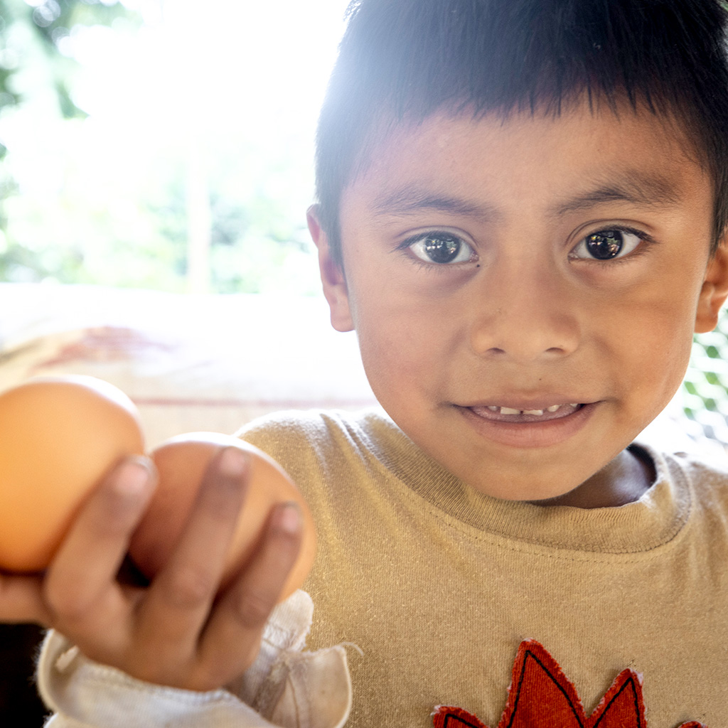 Guatemalan boy smiling to the camera and showing proudly the eggs produced in his family's chicken coop.